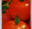Семена помидор Арнольд F1 - 20 семян -Антария - изображение1