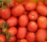 Семена помидор Мадонна F1 - 0,1 грамм -Антария - изображение3