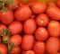 Насіння помідор Мадонна F1 - 100 насінин - изображение3