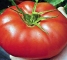 Семена помидор Райское наслаждение - 1 грамм - изображение3