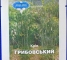 Семена укропа Грибовский - 10 грамм - изображение1