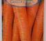 Семена моркови Нантес 2 Тито - 2 грамма - изображение 2