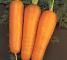 Насіння моркви Шантане Ред Коред - 2 грами - изображение 1