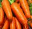 Насіння моркви Шантане Ред Коред - 2 грами - изображение 4