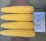 Семена сахарной кукурузы Драйвер F1 - 3000 семян -изображение 11