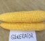 Насіння цукрової кукурудзи Генератор F1-100 насінин -изображение 7