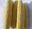 Семена кукурузы сладкой Кун-Фу F1-2500 семян -изображение 4